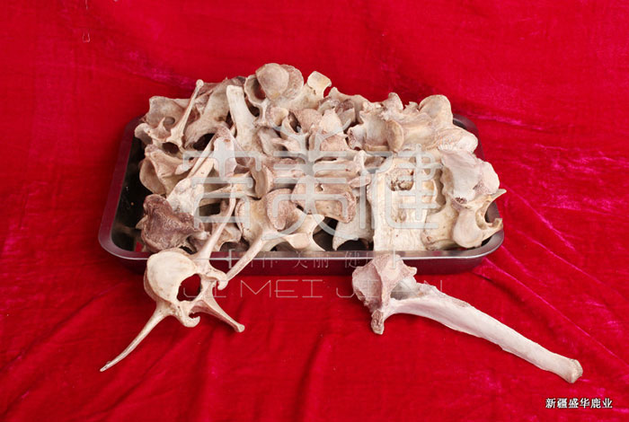 新疆昌吉華盛商貿(mào)馬鹿骨